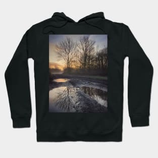 Winter in Wimbledon Common Hoodie